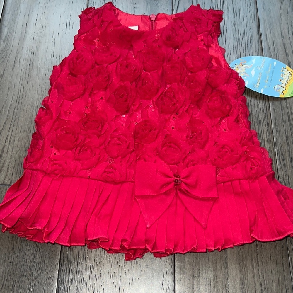 NWT American princess baby 3-D floral/sequins dress with pleated ruffle bottom